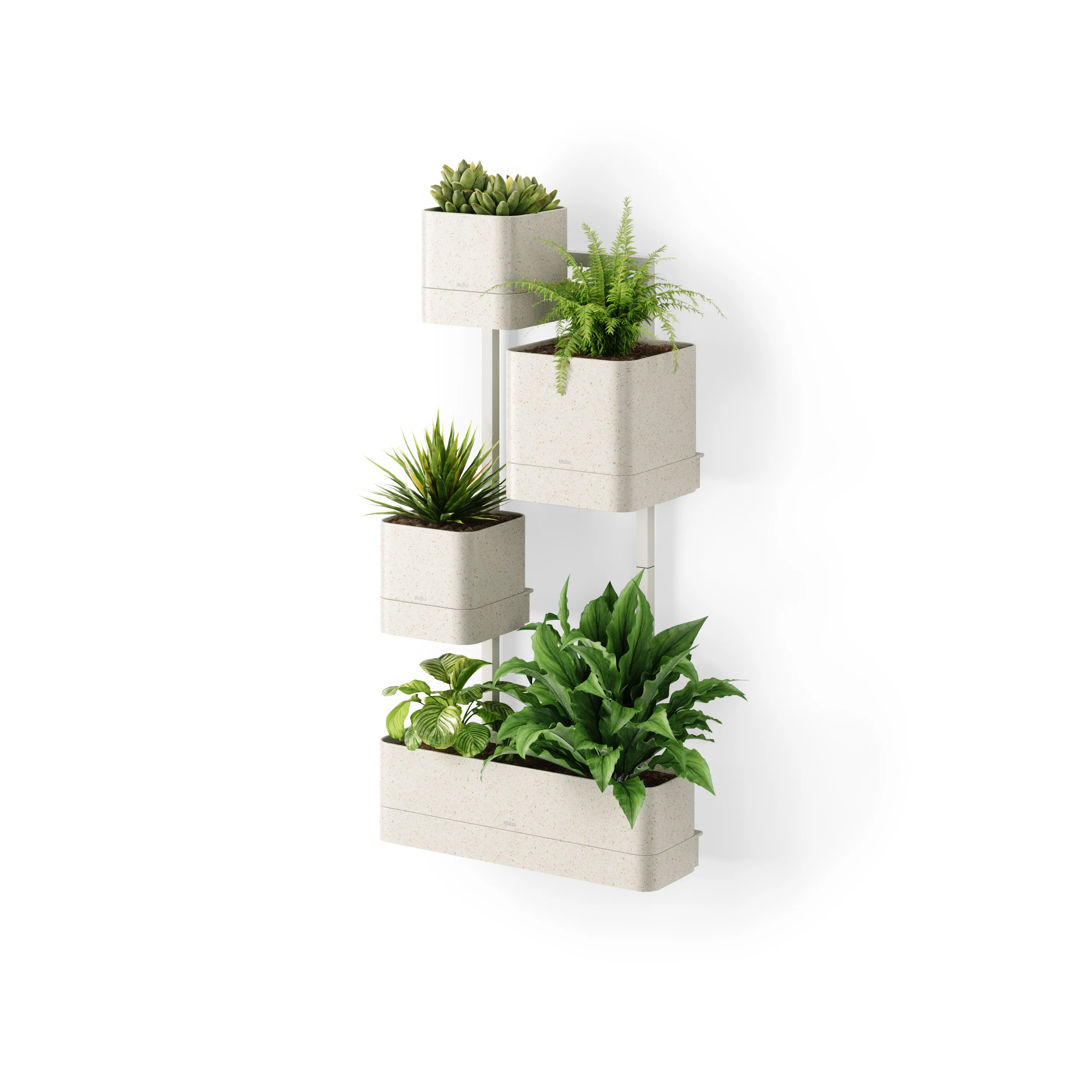 Image du produit 11